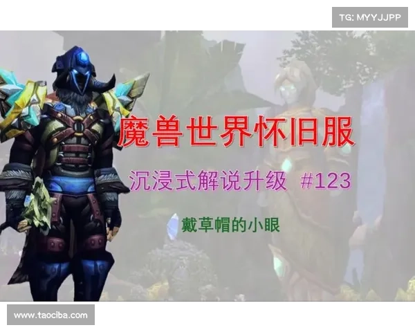 魔兽世界全屏改革：打造沉浸式游戏体验